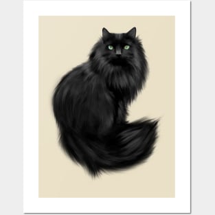 Beautiful Long Haired Cat Posters and Art